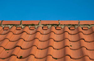 Ridge Tile Replacement Haverhill